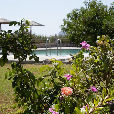 Hotel Gardenia Kolymbia