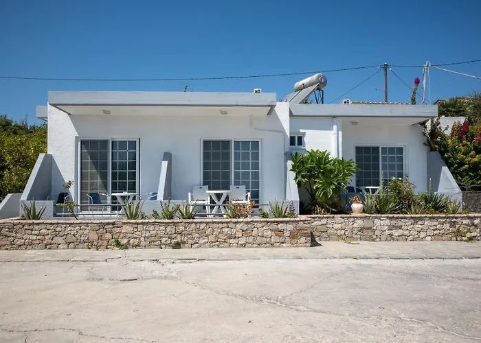 Gardenia 콜림비아